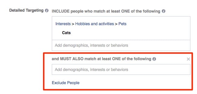 narrow facebook ad audience