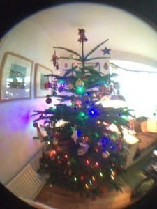 christmas tree wide angle olloclip