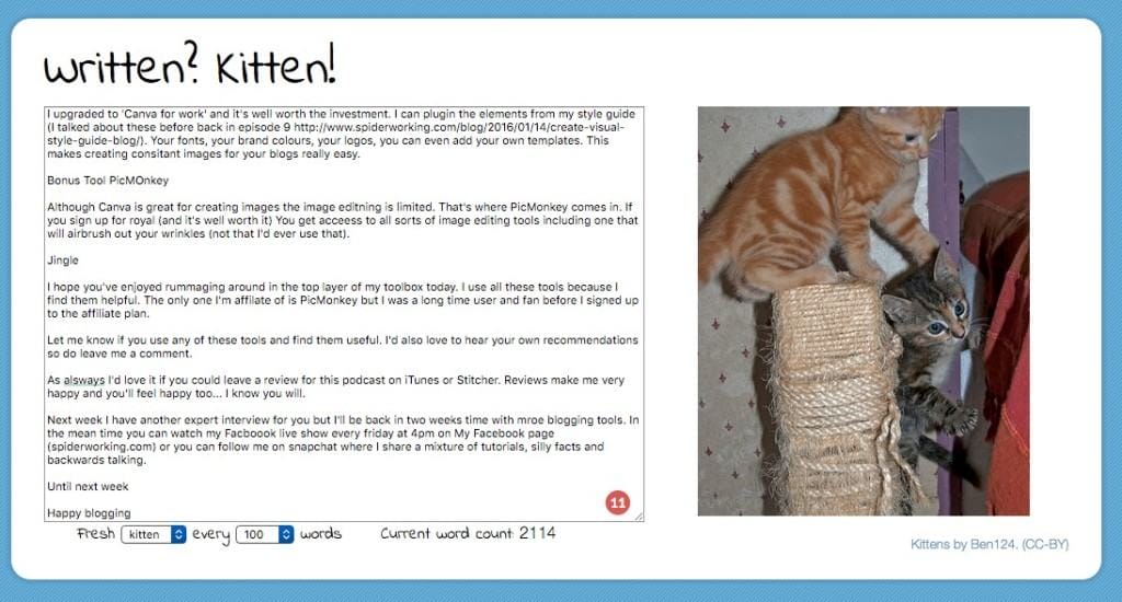 blogging tools written kitten