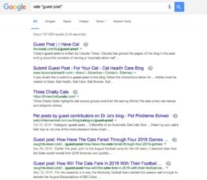 Search for a keyword and "guest post"
