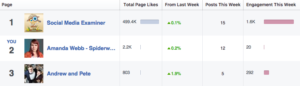 Use the 'Pages To Watch' feature to find engagement figures for you and your competitor
