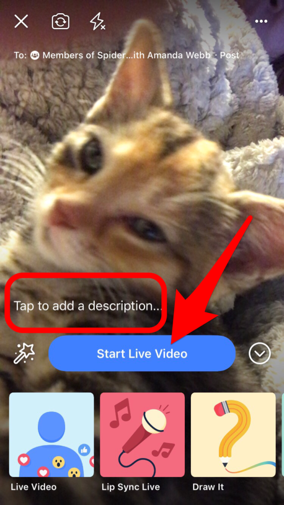 Facebook Live for groups -Add a description and go live 
