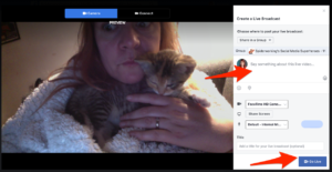 Click 'Live video' to go live to your Facebook group from desktop